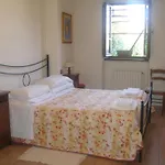 Comparone Casavecchia *