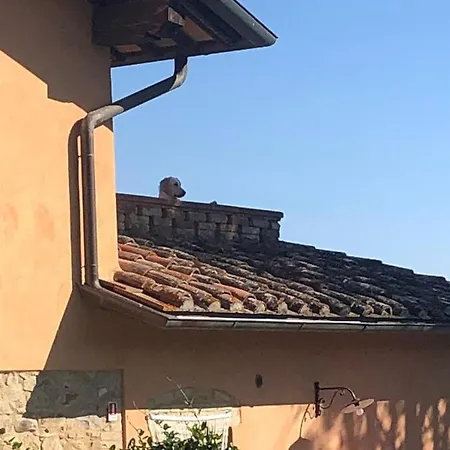 Apartamento Comparone Casavecchia *