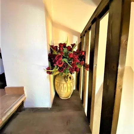 Comparone Casavecchia Apartment Citta di Castello