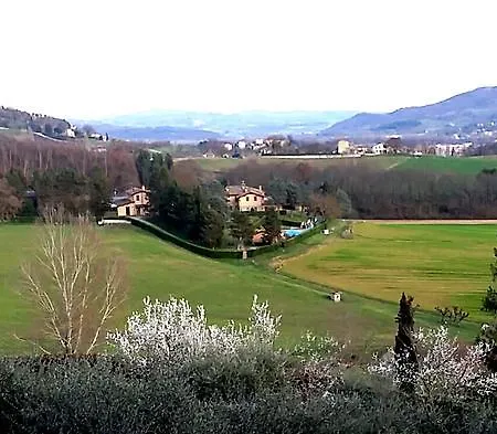 Comparone Casavecchia * Citta di Castello