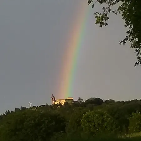 Comparone Casavecchia *