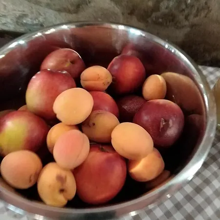 Comparone Casavecchia Appartamento *