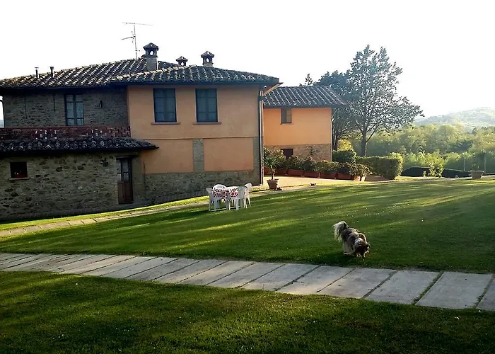 Comparone Casavecchia