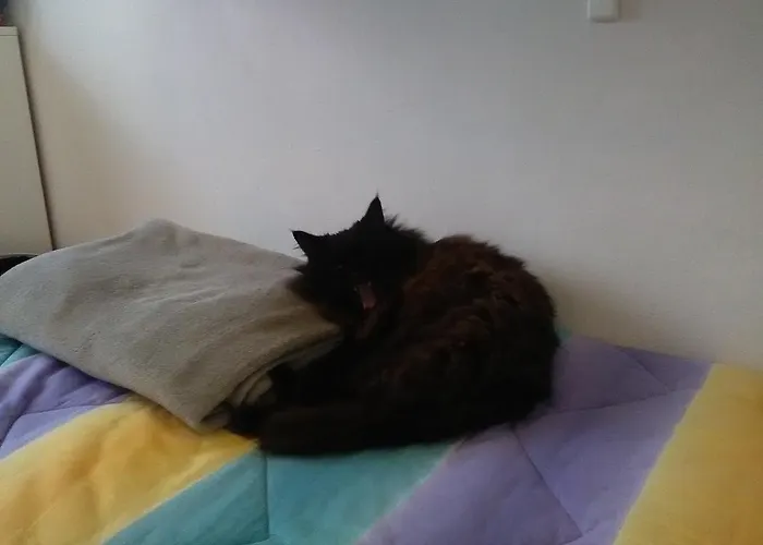 Comparone Casavecchia Apartmán *