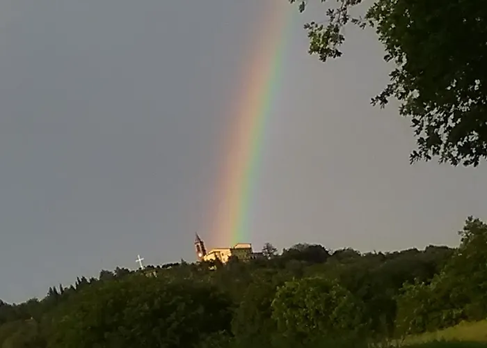 Comparone Casavecchia *