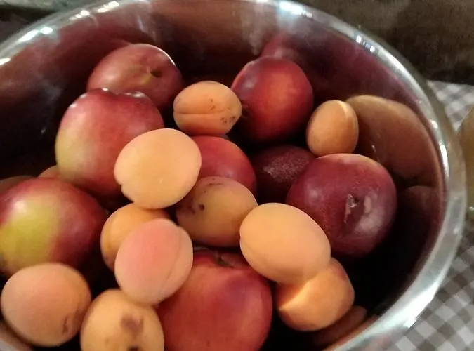 Comparone Casavecchia Apartmán *