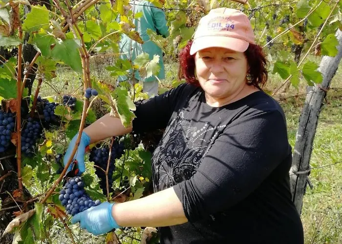 Comparone Casavecchia Apartmán Città di Castello